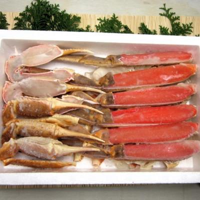 ふるさと納税 阪南市 年始発送[2027年1月1日より順次発送]生ずわい蟹 カニ鍋セット 1kg〔カット済み〕