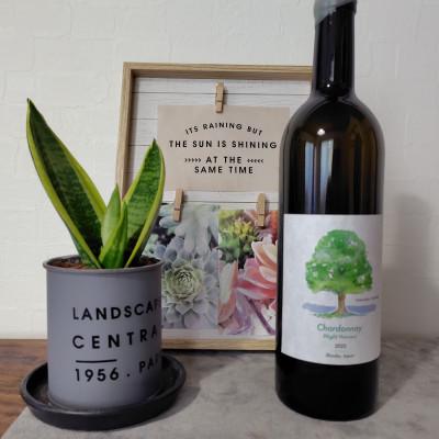 ふるさと納税 塩尻市 ヴォータノワイン醸造 TAMAI wineシャルドネ2025 750ml