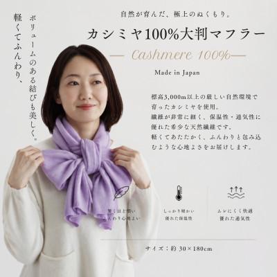 ふるさと納税 泉佐野市 100%カシミヤ・マフラー ラベンダー