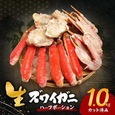 ふるさと納税 岸和田市 ●年始発送[2027年1月1日より順次発送]生ズワイガニ 1kg(カット済み)