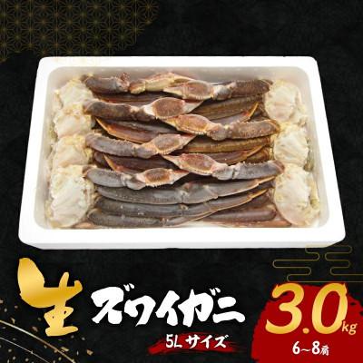 ふるさと納税 岸和田市 ●年始発送[2027年1月1日より順次発送]生ズワイガニ 5Lサイズ 3kg(6〜8肩)
