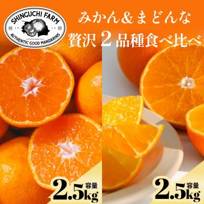 ふるさと納税 八幡浜市 [贅沢2品種食べ比べ]愛媛みかん&amp;まどんな セット 計5kg(各2.5kg)[70-194]