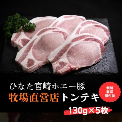 ふるさと納税 小林市 ひなた宮崎ホエー豚ローストンテキ用 5枚(F040)