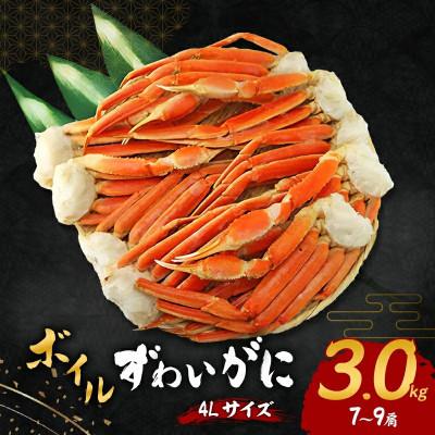 ふるさと納税 岸和田市 ●年始発送[2027年1月3日より順次発送]ボイルずわいがに 4Lサイズ 3kg(7〜9肩)