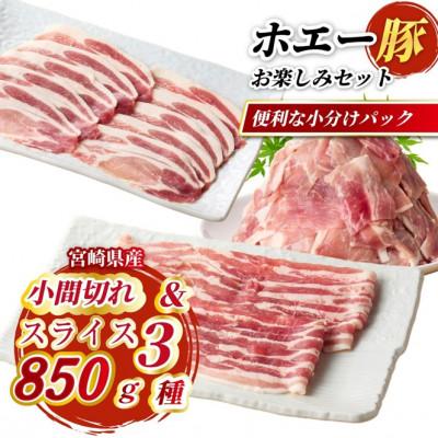 ふるさと納税 小林市 ひなた宮崎ホエー豚スライスと小間切れのお楽しみセット[A] 850g(F034)