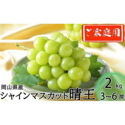 ふるさと納税 高梁市 岡山県産 2026年発送 ご家庭用 シャインマスカット 晴王 約2kg(3〜6房)