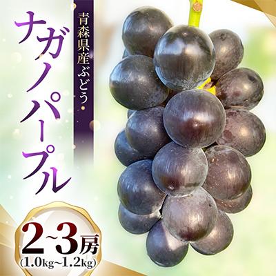 ふるさと納税 青森市 青森県産ぶどう　ナガノパープル　2〜3房(1kg以上) | 