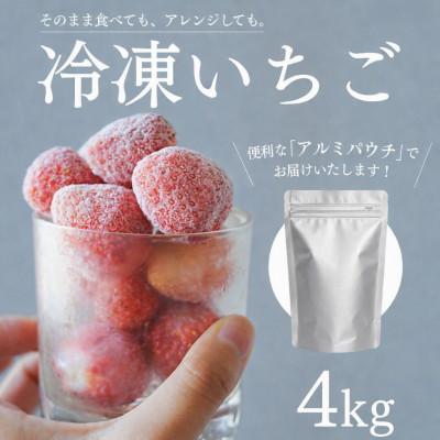 ふるさと納税 南伊豆町 完熟冷凍イチゴ 4kg(約15.2パック相当)