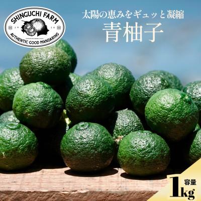 ふるさと納税 八幡浜市 [太陽の恵みをギュッと凝縮]青柚子 1kg 愛媛県産[防腐剤・ワックス不使用][70-193]