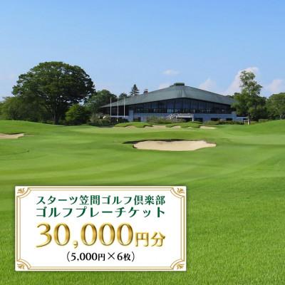 ふるさと納税 笠間市 [スターツ笠間ゴルフ倶楽部] ゴルフプレー施設利用券 30,000円分