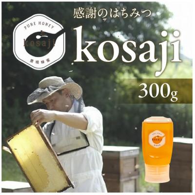 ふるさと納税 豊橋市 [kosaji]春はちみつ300g