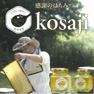 ふるさと納税 豊橋市 [kosaji]春はちみつ150g+100g 瓶入り ギフトセット