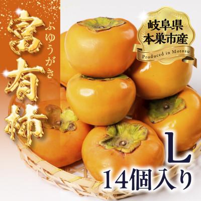 ふるさと納税 本巣市 富有柿 Lサイズ 14個入り くどみフルーツ農園