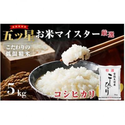 ふるさと納税 常陸太田市 [令和7年産]特選常陸太田産 こしひかり(精米)5kg 五ツ星