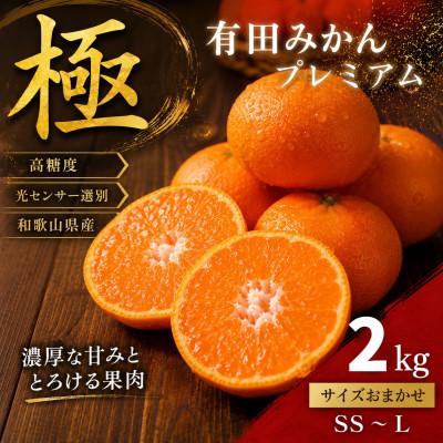 ふるさと納税 那智勝浦町 極 有田みかんプレミアム 約2kg[光センサー 高糖度選別品]2S〜L (nuk004-p-2)