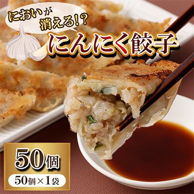 ふるさと納税 直方市 においが消える!?にんにく餃子 50個×1袋