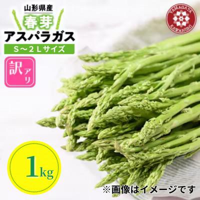 ふるさと納税 川西町 [先行予約]令和9年 山形県川西町産 雪国春アスパラガス 訳あり(不揃い) S〜2L サイズ 1kg
