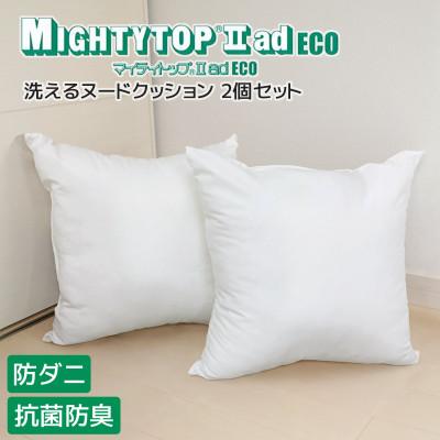 ふるさと納税 蒲郡市 ヌード 中材 背当クッション 帝人 防ダニ 防臭2個セット_[G0813]