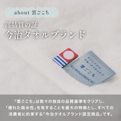 ふるさと納税 今治市 (今治タオル) 雲ごこち タオルケット 1枚 (ダークグレー) 【I004790KT1DGY】 |  | 02