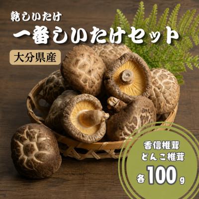 ふるさと納税 津久見市 乾しいたけ 一番しいたけセット(津久見市)