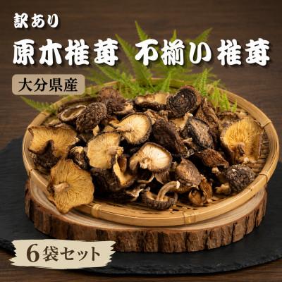 ふるさと納税 津久見市 訳あり 不揃い原木椎茸 6袋セット(津久見市)
