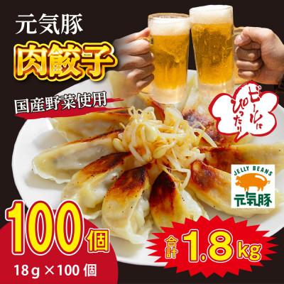 ふるさと納税 多古町 元気豚 肉餃子 100個セット(18g×10個入×10パック)