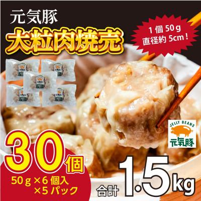 ふるさと納税 多古町 千葉県産三元豚 大粒肉焼売 30個(1.5kg)元気豚100%使用 冷凍
