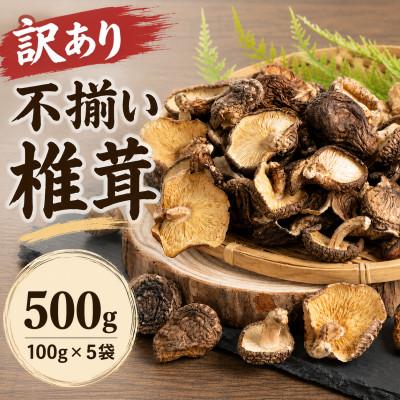 ふるさと納税 津久見市 訳あり 不揃い椎茸 100g×5袋(津久見市)