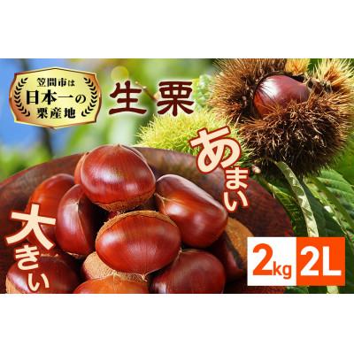 ふるさと納税 笠間市 [2026年先行予約] 生栗 2kg 2L 数量限定 国産和栗 農産物直売所すわ