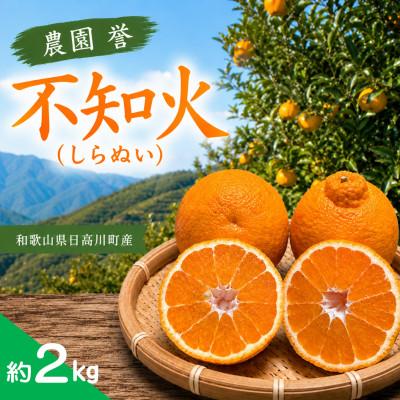 ふるさと納税 日高川町 [2027年2月発送]熟成 不知火(しらぬい/デコポンと同品種)約2kg(20玉入り)
