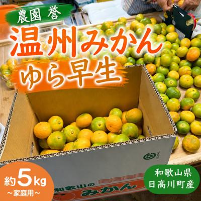 ふるさと納税 日高川町 [2026年10月下旬から順発送]ゆら早生みかん 約5kg(3S〜Sサイズ中心)/和歌山県日高川町産