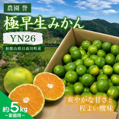 ふるさと納税 日高川町 [2026年9月中旬から順次発送]青い極早生みかん YN26 約5kg(3S〜Sサイズ中心)