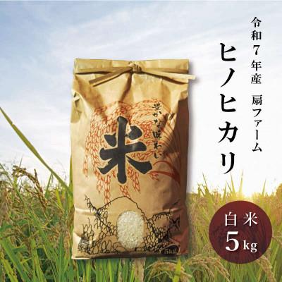 ふるさと納税 加東市 令和7年産・扇ファームのお米[ヒノヒカリ]白米 5kg