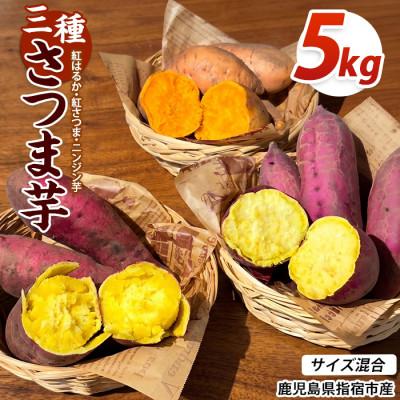 ふるさと納税 指宿市 [訳あり]鹿児島県産 さつまいも 3種詰め合わせ 約5kg (IB162-001)
