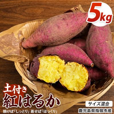 ふるさと納税 指宿市 [訳あり]鹿児島県産さつまいも 紅はるか 約5kg (IB162-002)