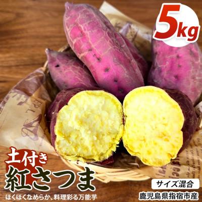 ふるさと納税 指宿市 [訳あり]鹿児島県産さつまいも 紅さつま 約5kg (IB162-003)