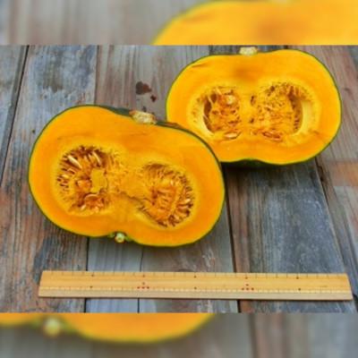 ふるさと納税 遠野市 【甘い粉質系】かぼちゃ(6kg)栽培期間中農薬、動物性化成等不使用 遠野もぐもぐカントリー |  | 01