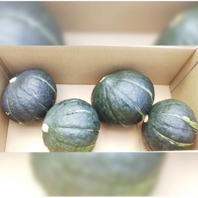 ふるさと納税 遠野市 【甘い粉質系】かぼちゃ(6kg)栽培期間中農薬、動物性化成等不使用 遠野もぐもぐカントリー |  | 02
