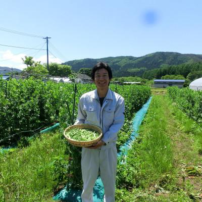 ふるさと納税 遠野市 【甘い粉質系】かぼちゃ(6kg)栽培期間中農薬、動物性化成等不使用 遠野もぐもぐカントリー |  | 03