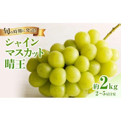 ふるさと納税 高梁市 [2027年発送分 先行受付]岡山県産シャインマスカット「晴王」[ハウス栽培](約2kg・2〜5房)
