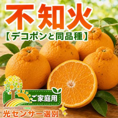 ふるさと納税 紀美野町 [農家直送]こだわりの不知火(しらぬい) ご家庭用 約5kg (nuk010-r-5)
