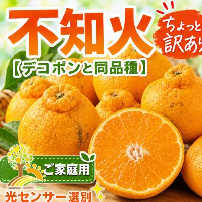 ふるさと納税 紀美野町 [少し訳あり]不知火(しらぬい) 約10kg サイズ混合 (nuk010-c-10A)
