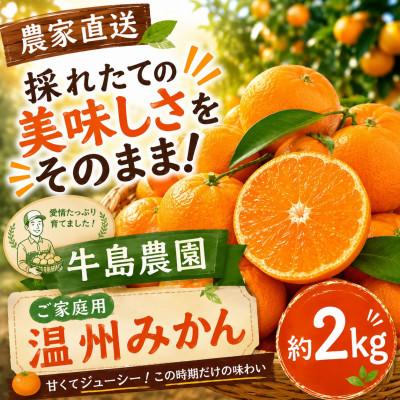 ふるさと納税 玉名市 [農家直送]採れたての美味しさをそのまま!ご家庭用温州みかん 約2kg 牛島農園 (玉名市)