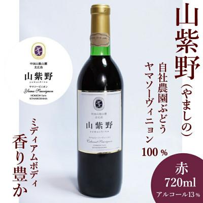 ふるさと納税 北広島町 ホッコーワイナリー「山紫野(やましの)」 赤ワイン ヤマソーヴィニヨン