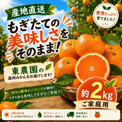 ふるさと納税 玉名市 [産地直送]もぎたての美味しさをそのまま!ご家庭用 温州みかん約2kg 東農園(玉名市)