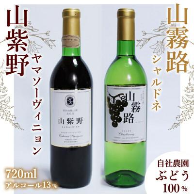 ふるさと納税 北広島町 ホッコーワイナリー ワイン2本セット 「山紫野・山霧路」