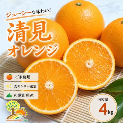 ふるさと納税 那智勝浦町 清見オレンジ みずみずしい果汁 約4kg (SS〜2L混合サイズ) (nuk011-r-4)