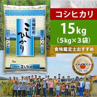 ふるさと納税 河内町 [令和8年産]河内町産コシヒカリ 精米 15kg(5kg×3袋)