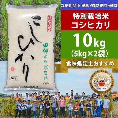 ふるさと納税 河内町 [令和8年産]特別栽培米 田仲のこしひかり(精米)10kg(5kg×2袋) 茨城県 河内町