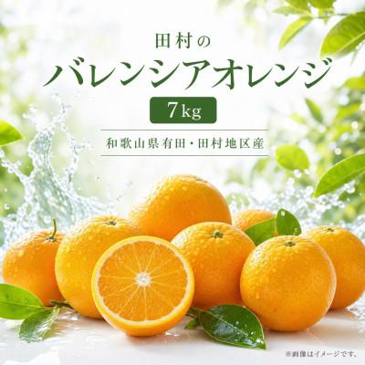 ふるさと納税 美浜町 田村のバレンシアオレンジ 約7kg